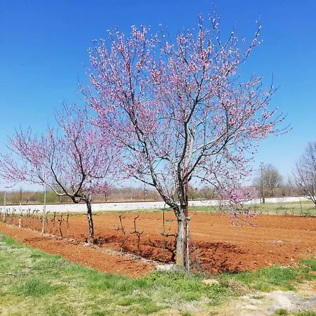 Luxury Cherry In Natural Park Villa Manjadvorci